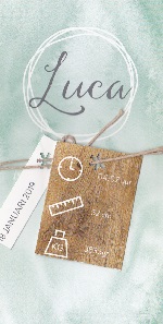 Koningkaart Luca 18…