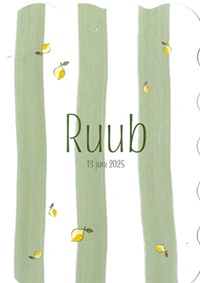 Studio Dijs Ruub 20…