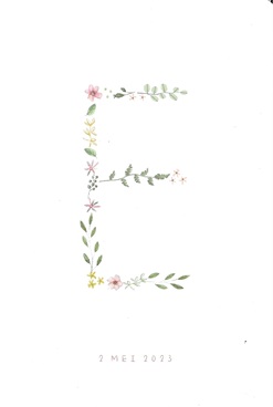 Studiopie Noor 2023…