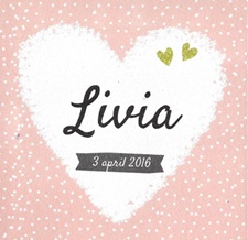 Tsjip  Livia 2016.j…