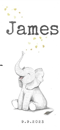 James - 9-9-2023.jpg